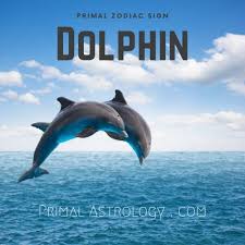 Understanding zodiac signs and zodiac sign dates. Primal Astrology Spirit Of The Dolphin