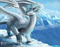 pin on dragon art babies cute funny