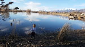 Poor old utah lake is like the late great rodney dangerfield…it gets no respect. Drought Hot Temperatures Prompt Increased Fishing Limits At Additional Utah Waterbodies St George News