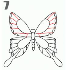 Seperti semua serangga, mereka memiliki enam kaki bersendi, 3 bagian tubuh, sepasang antena, mata majemuk, dan kerangka luar. Cara Menggambar Kupu Kupu Cantik Dan Indah Yang Mudah