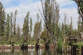 M48***13this is the largest area in the palenque ruins, and the precipitation is palenque is a historical and cultural city in mexico and a ruins of the ancient mayan city. Ancient Aztec Chinampas Hold Promise For Urban Agriculture