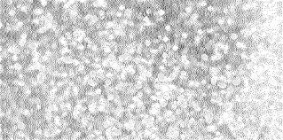 All png & cliparts images on nicepng are best quality. Glitter Background Gif Png Novocom Top