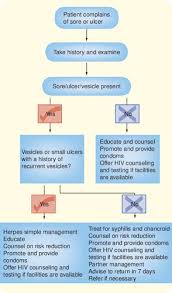 Image result for chancroid