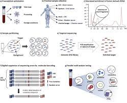 Dna analysis gizmo answer key. The Emerging Role Of Cell Free Dna As A Molecular Marker For Cancer Management Sciencedirect
