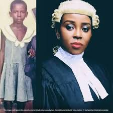 Cat Frustrated with Dogs