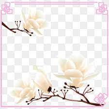 Lotus Magnolia Tree Spring Blossom Lotus Early Spring Floral Border Lotus Magnolia Magnolia Cinnamon Magnolia Png Transparent Clipart Image And Psd File For Floral Border Spring Blossom Magnolia Trees