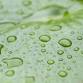 Raindrops and Runoff · Fall Family Field Trip event image