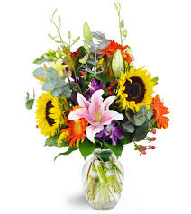 Download the perfect apple tree pictures. 12 Classic Red Roses Plano Tx Florist