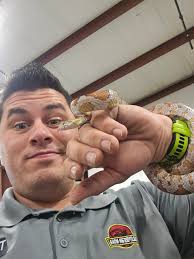 National reptiles breeders expo event