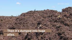 Campendium has 34 reviews of portland rv parks, state parks and national parks making it your best portland rv camping resource. Pdxplained Where Does Your Compost Go We Ll Explain Kgw Com