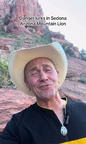 Mountain Lion Sedona Az