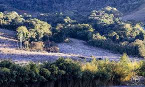 As temperaturas nestas áreas ficam em torno dos 4°c. Com Geadas Temperaturas Chegam Perto De 0 C No Sul De Minas Veja Videos Gerais Estado De Minas