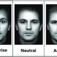 PDF) Does a Face Speak for Itself? Emotion Recognition Technologies and  Explainable AI