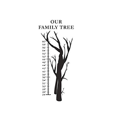 amazon com vosarea wall sticker family tree height chart