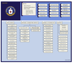 File Cia Org Structure Svg Wikimedia Commons