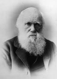 Charles Darwin Day Six Quotes From The Father Of Evolution On His Birthday