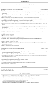Finding qualified, reliable individuals to join your staff is an essential what to include in a job description. Identity Access Management Analyst Resume Sample Mintresume