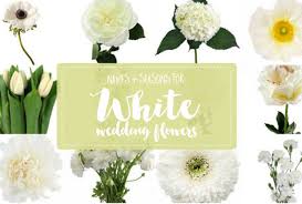 It loves heat, full sun and dry conditions. Wedding Flowers Archives Confetti Daydreams Wedding Blog