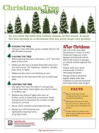 Let S See Your Christmas Tree S Post A Olds Fire Department Facebook