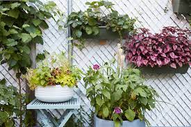 When i shared some photos of our backyard in the spring, you may have noticed that i hung a large. 16 Outdoor Wall Decor Ideas