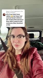 Understanding Longhouse Architecture and Wildlife Encounters