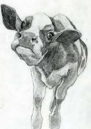 Fish sketches @ donna.do you see your fishies? Farm Animals Jeremy Shuback