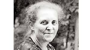 Greifswald: Diese fünf Fragen prägten die Stadtgeschichte