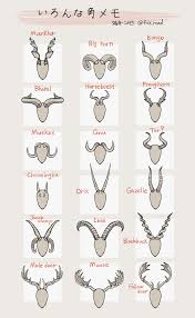 Horn References By Fox Road On Twitter Art Reference Poses Art Reference Art Tutorials