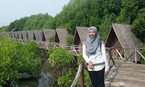 Taman bunga yang bisa menjadi referensi liburanmu jika bosan ke gunung ataupun pantai. 10 Gambar Pantai Mangrove Medan Deli Serdang Wisata Alam Sumatera Utara Jejakpiknik Com