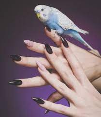 Los acrílicos no requieren una lámpara para curarse y son excelentes para cambiar la forma o extender las uñas. Unas Negras Gel Y Acrilicas Tecnicas 2021