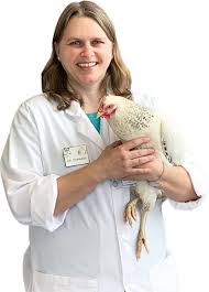 We did not find results for: About Us All Pets Ky Vet Clinic