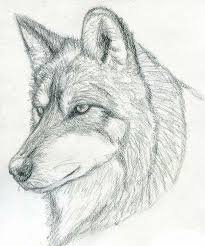 Pin By M Mido On How To Draw Animals Wolf Sketch Wolf Drawing Wolf Artwork