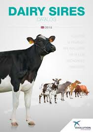 Calameo Catalogue 2018 Taureaux Laitiers En