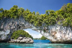 Palau is a group of more than 500 tropical islands in the micronesia area of the pacific ocean, to the southeast of the philippines. Tauchen Tauchreisen Palau