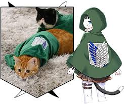 Amazon Com Pet Costume Cat Dog Cosplay Attack On Titan Anime Cartoon Plush Cloak Scouting Legion Freedom Cloak Pet Costumes Cat Pet Costumes Diy Pet Costumes Free icons of cloak in various ui design styles for web, mobile, and graphic design projects. pet costume cat dog cosplay attack on