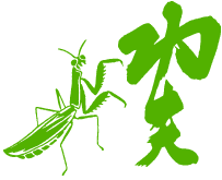 A modern style of martial arts developed from the japanese art of archery. Praying Mantis Kung Fu Forms History