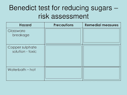 Testing For Reducing Sugars Benedicts Test Ppt Download