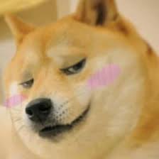 Animales vertebrados y sus características. Messyeah Iammess737 Perfil Pinterest