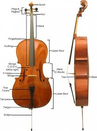 Cello Vs Double Bass Difference