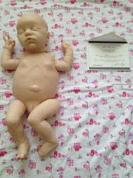 Lauraleezy for @khruangbin so we won't forget. Evangeline Reborn Baby Doll Kit By Laura Lee Eagles New 1816568260