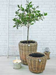 Large Rattan Planters Rattan Planters Outdoor Garden Furniture Planters