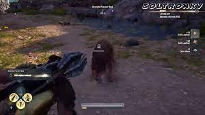 Check spelling or type a new query. Assassin S Creed Odyssey Aconite Flower Bed Alpha Animal Youtube