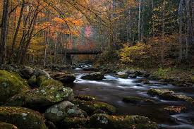 An Insider S Guide To Great Smoky Mountains National Park Samantha Brown S Places To Love