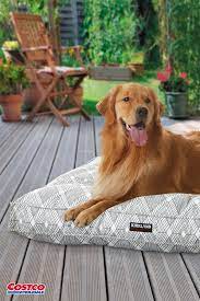 Kirkland Signature 40 Square Tufted Indoor Outdoor Pet Napper Pattern Outdoor Dog Bed Dog Bed Happy Dogs