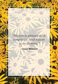 Download the perfect beautiful nature pictures. 58 Best Nature Quotes Inspirational Sayings About Nature