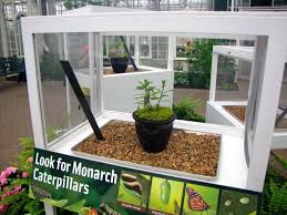 How to make an indoor butterfly garden. Meijer Gardens Butterflies Are Back For 2021 13 Smart Things To Know Before You Go Plus A Ticket Giveaway Grkids Com