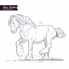 A Work In Progress The Colouring Shall Be Interesting Drawing C Jullelinart Digitalart Pictureofth Interesting Drawings Da Vinci Art Horse Sketch
