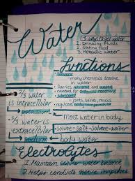 Food Science Human Nutrition College Notes Schoolnotes Human Nutrition School Nutrition Food Science