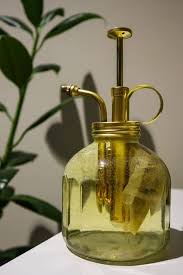 Check spelling or type a new query. How To Fix Mould In Terrariums 7 Easy Tips Tricks Terrarium Tribe