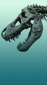 Dinosaur Phone Wallpapers Top Free Dinosaur Phone Backgrounds Wallpaperaccess Animals pre 200 million years dinosaurs and crocodile evolution ultra hd wallpapers for desktop mobile phones and laptop 3840×2400. dinosaur phone wallpapers top free